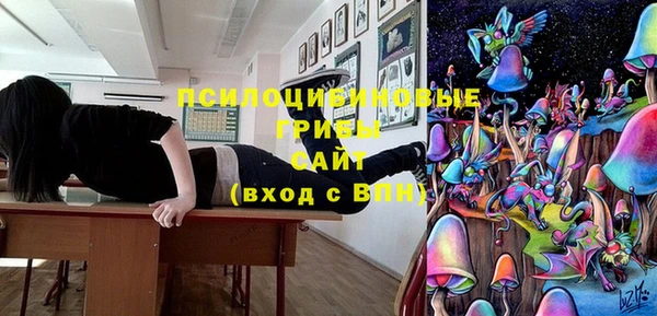 а пвп мука Касимов
