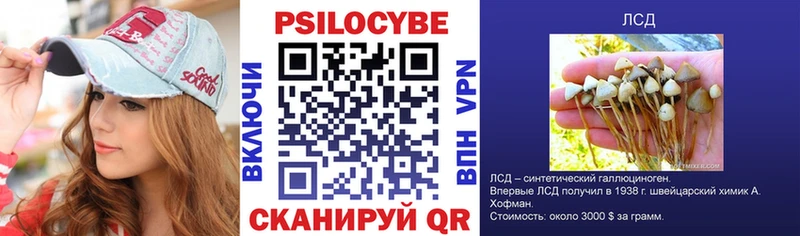 Купить  Бирюсинск  Галлюциногенные грибы GOLDEN TEACHER 